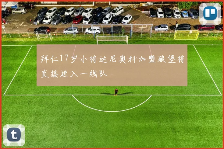 拜仁17岁小将达尼奥科加盟狼堡将直接进入一线队